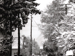 Schlossgasse1958