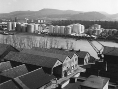 Blick auf Schweizerhalle