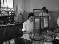 RO_Labor_1952_S2e_170