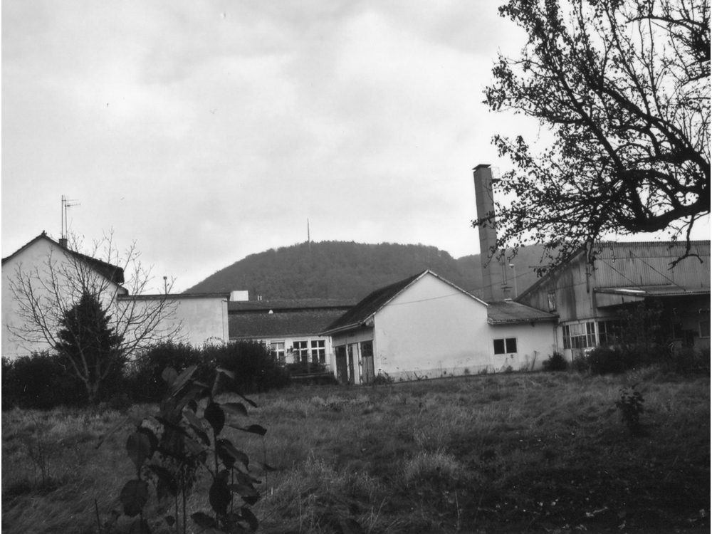 Salubra2005vorAbbruch_5