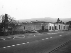 1970 Blick vom Grenzübergang Hörnle aus