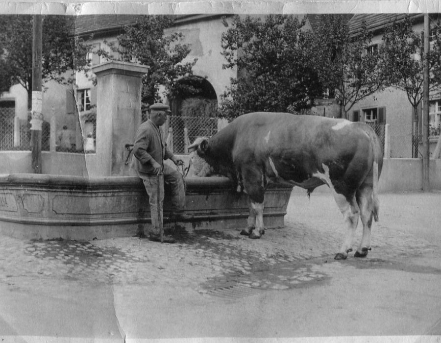 Grossvater Althun am alten Brunnen, 