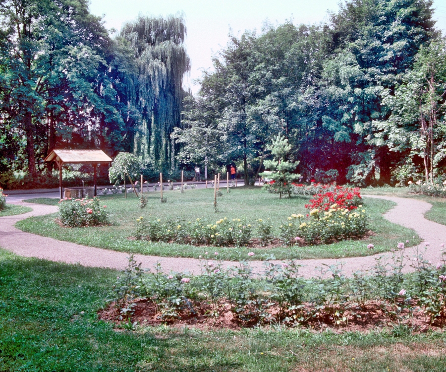 Rosengarten_5