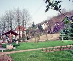 Rosengarten_6