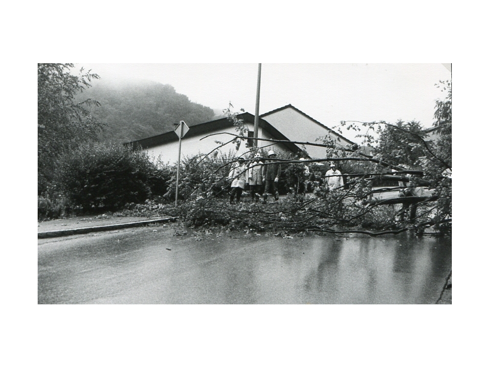 Einsatz in der Bettingerstrasse" caption="Ein Baumriese war umgestürzt