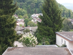 Ausblick aus dem Haus der Wettsteins 2014
2014-05-06 11.53.45