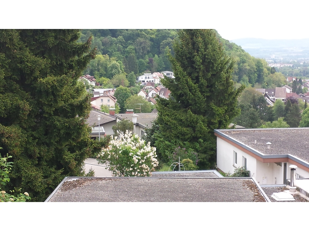 Ausblick aus dem Haus der Wettsteins 2014
2014-05-06 11.53.45