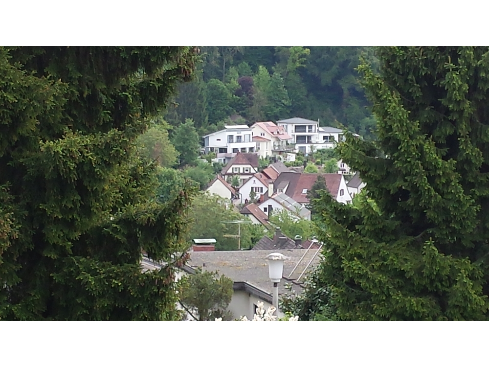 Ausblick aus dem Haus der Wettsteins 2014
2014-05-06 11.54.52