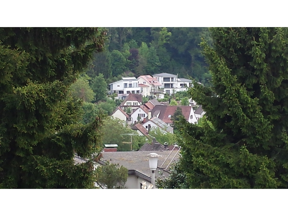 Ausblick aus dem Haus der Wettsteins 2014
2014-05-06 11.55.03