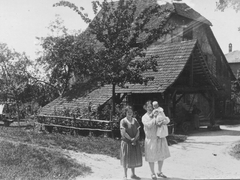 Das Elternhaus des Vaters von Wally Brender. Es ist über 500 Jahre alt, heute ist es umgebaut. Hinten das katholische Pfarrhaus Wyhlen. 1929
Brender_012