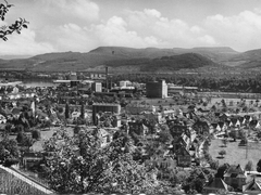 Blick auf die Geigy
Vorne rechts Irga-Häuser; links kath. Kirche, erbaut 1953;Mitte links Fabrikgebäude der Stäubli AG"Bauckner_012