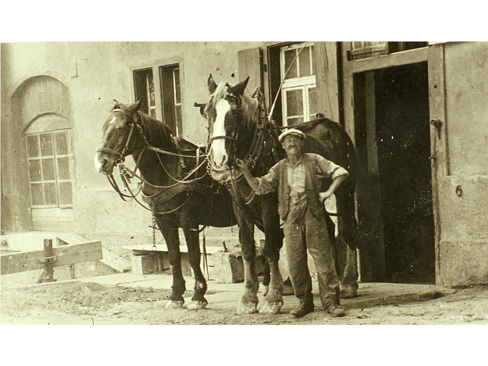 Theophil Haberer 50er Jahre ; Solvaypferde für die innerbetriebliche Landwirtschaft
Bild31