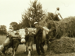 Xaver Kaiser, Berta Kaiser im Gewann Stockacker; Ende 50er Jahre, Alter ca 65 Jahre; Eltern von Ewald Kaiser
Bild63