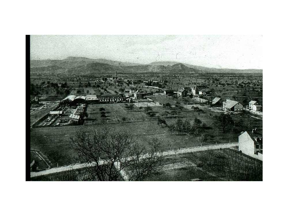 Eisenbau Eisenlager, im Vordergrund Reben, hinten Solvay; 1920er Jahre