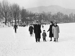 Rhein bei Wyhlen zugefroren 1962/63
Bild6