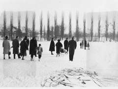 Rhein bei Wyhlen zugefroren 1962/63
Bild8