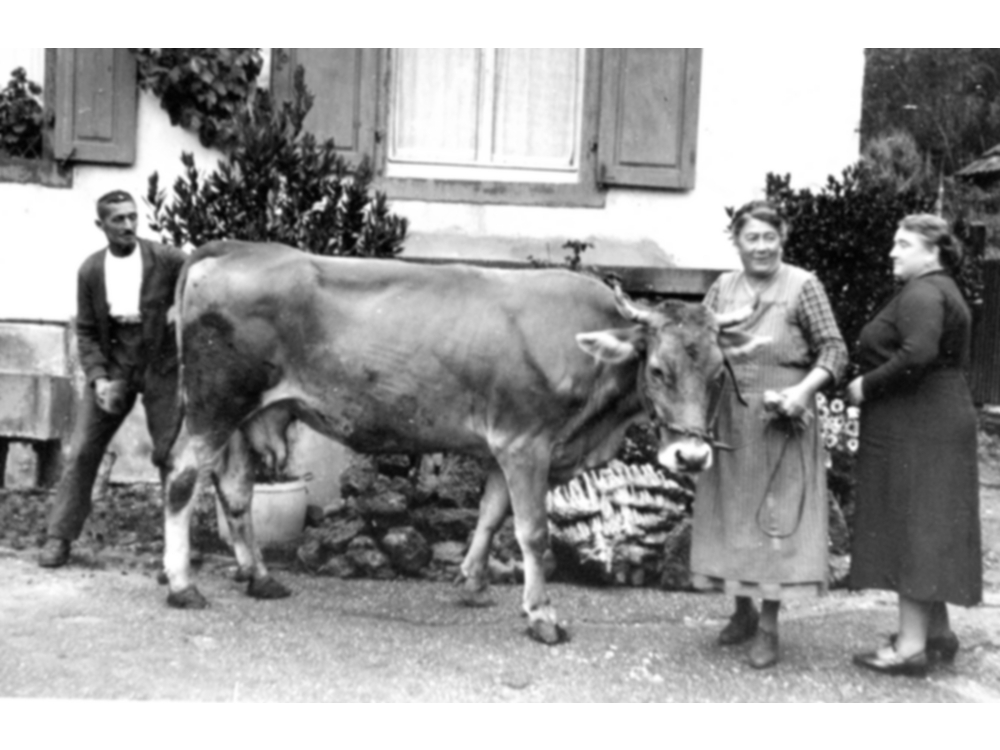 Tante Marie, Onkel Willi Lauber, Tante Klara aus Krefeld; um 1950
Ohlhaut_003