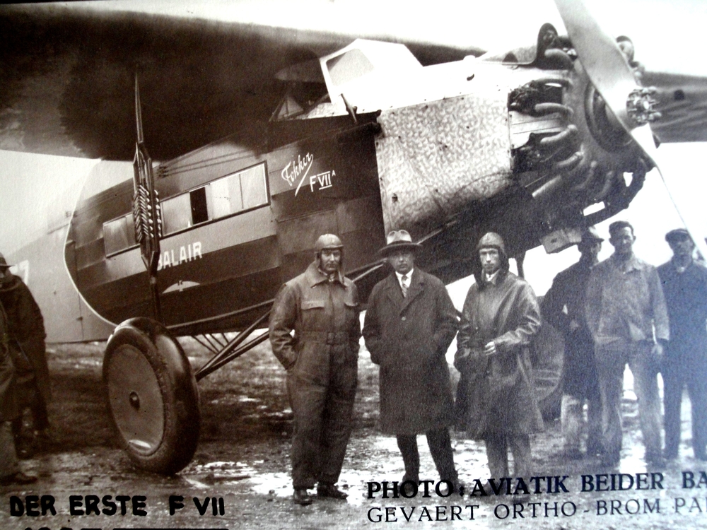 FVII