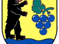 Wappen Grenzach-Wyhlen
